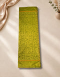 Banana Pith Fibre Saree- Dim parrot green with pink border